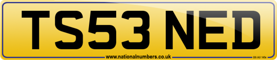 TS53 NED