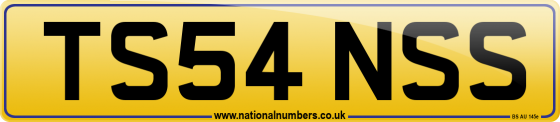 TS54 NSS