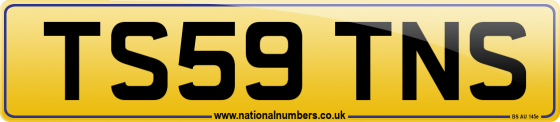 TS59 TNS