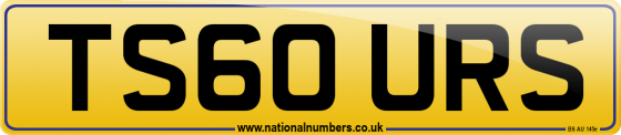 TS60 URS