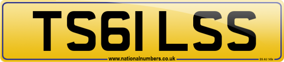 TS61 LSS
