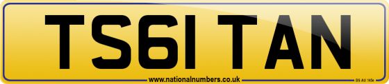 TS61 TAN