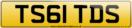TS61 TDS
