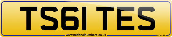 TS61 TES