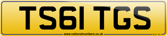 TS61 TGS