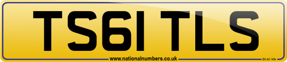 TS61 TLS