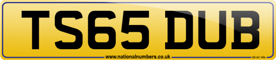 TS65 DUB
