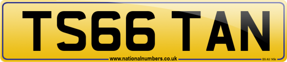 TS66 TAN