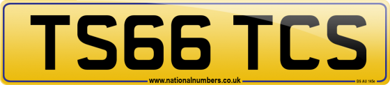 TS66 TCS