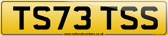 TS73 TSS