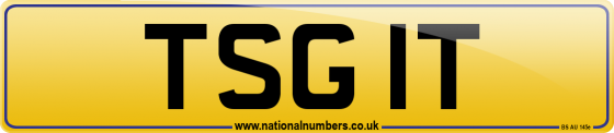 TSG 1T