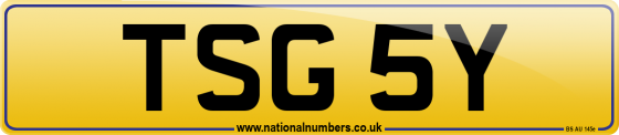 TSG 5Y