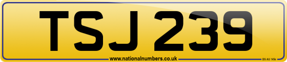 TSJ 239