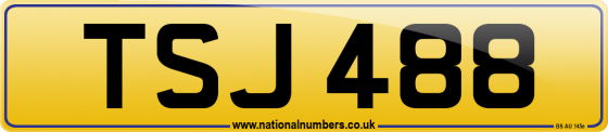 TSJ 488