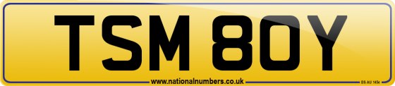 TSM 80Y