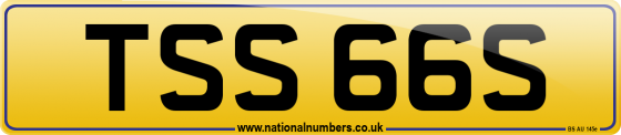 TSS 66S
