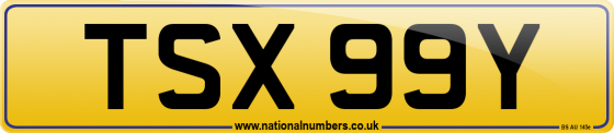 TSX 99Y