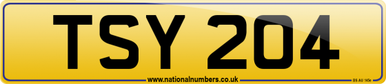 TSY 204