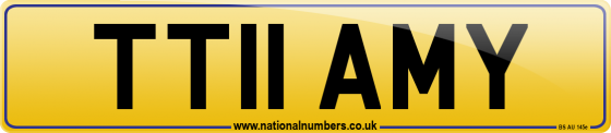 TT11 AMY