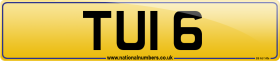 TUI 6