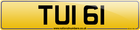 TUI 61