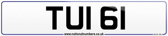 TUI 61