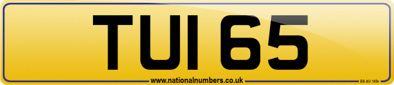 TUI 65