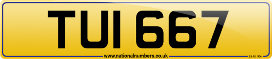 TUI 667
