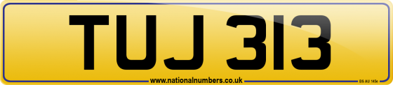 TUJ 313