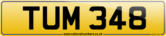 TUM 348