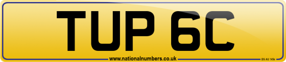 TUP 6C