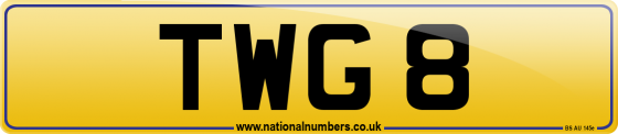 TWG 8