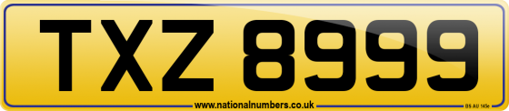 TXZ 8999