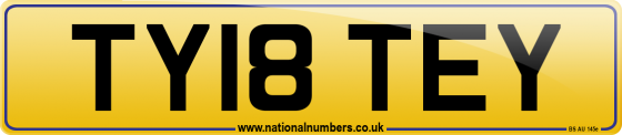 TY18 TEY