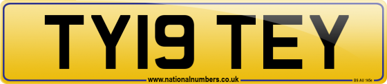TY19 TEY