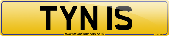 TYN 1S
