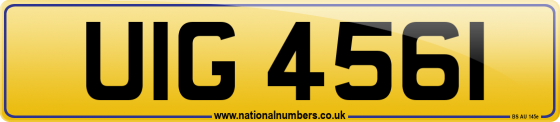 UIG 4561