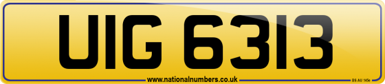 UIG 6313