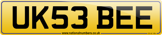 UK53 BEE