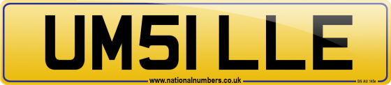 UM51 LLE