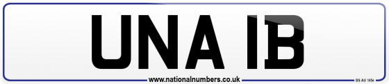 UNA 1B