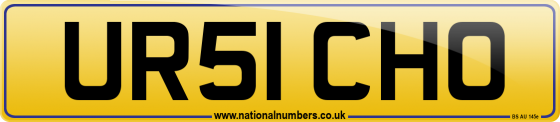 UR51 CHO