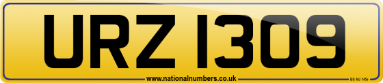 URZ 1309
