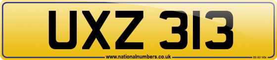 UXZ 313
