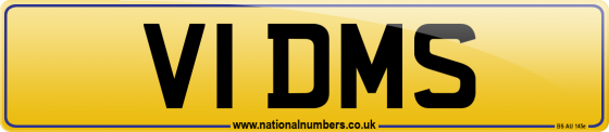 V1 DMS