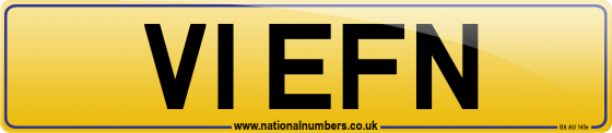 V1 EFN