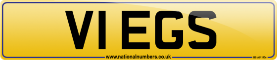V1 EGS