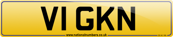 V1 GKN