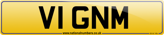 V1 GNM
