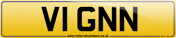 V1 GNN